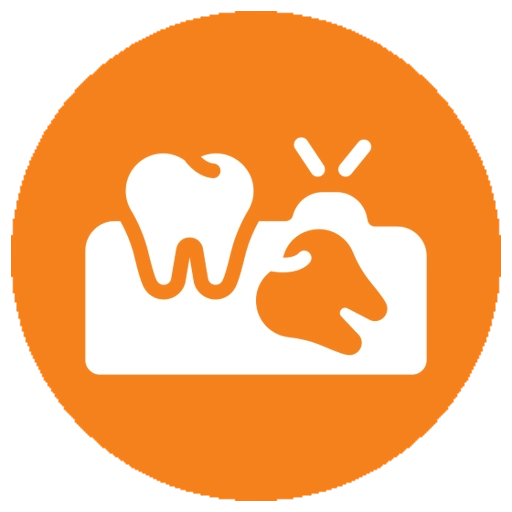 Wisdom Teeth Removal