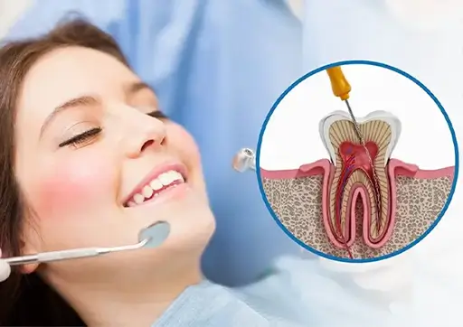 Magnification / Precision Dentistry